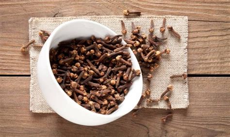 Encontre cravo da india no mercadolivre.com.br! Quais são os benefícios do cravo-da-índia para a saúde?