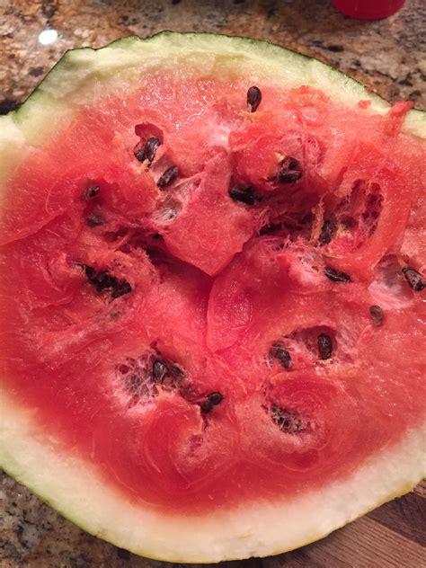 Anyone Know What I Did Wrong With My Watermelons This Year All The