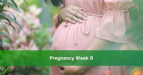 Pregnancy Week 8 A Comprehensive Guide To Maternal Changes
