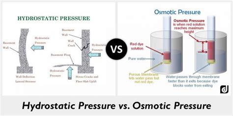 According to dictionaries, osmotic pressure is the pressure exerted by a dissolved substance in virtue to its molecular motion. What is The Cause of Hydrostatic Pressure? | High ...