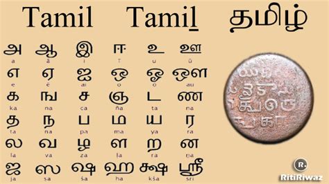 Tamil Language Bazaarnaxre
