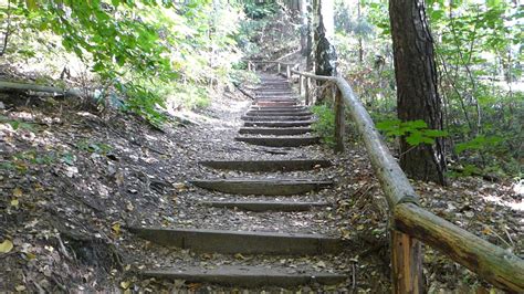 Rathen, bastei, wehlen, teufelskammer, uttewalde, schwedenlöcher, amselsee (wandelen). Wanderspatz - Gamrig - Bastei