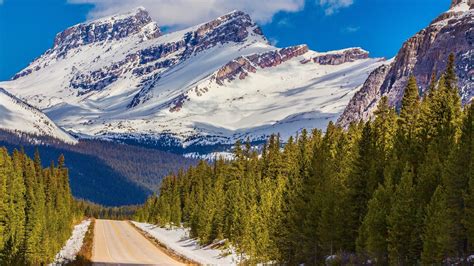 Green Trees Landscape Canada Mountains Road Hd Wallpaper