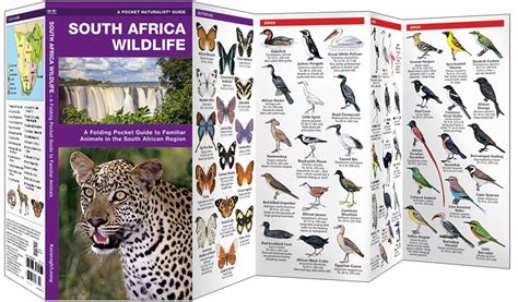 South Africa Wildlife Pocket Naturalist Guide