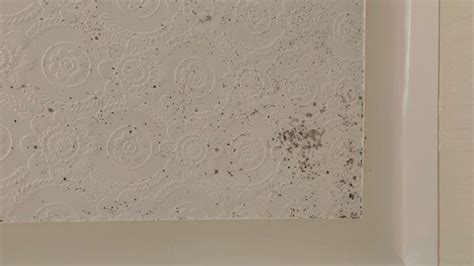 Check spelling or type a new query. How To Get Rid Of Black Mould in Bathroom? | Helpful ...