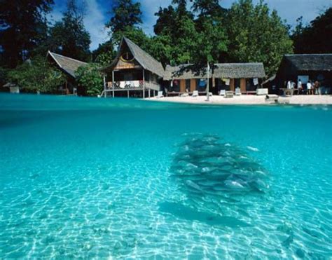 Maybe you would like to learn more about one of these? The MM2H Visa | Tropical Paradise Living In Malaysia