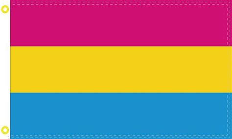 Pansexual Flag X Ft