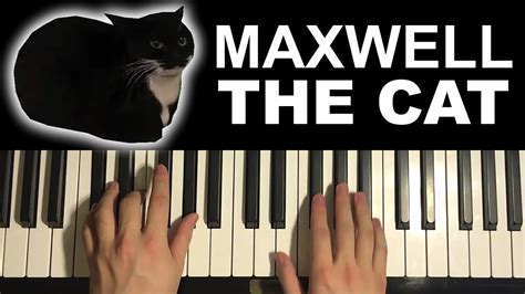 Maxwell The Cat Meme Song Chords Chordify