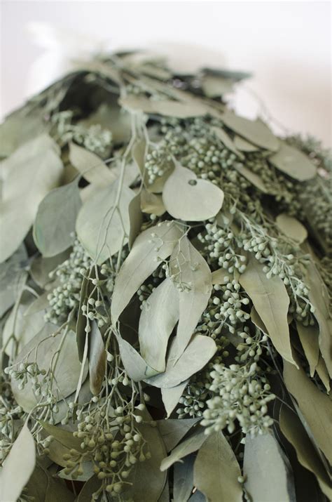Fill your cart with color today! Preserved Dark Sage-Green Seeded Eucalyptus | The Blaithin ...