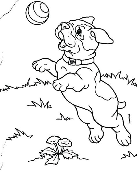 It's easy to see why. French Bulldog Coloring Pages at GetColorings.com | Free ...