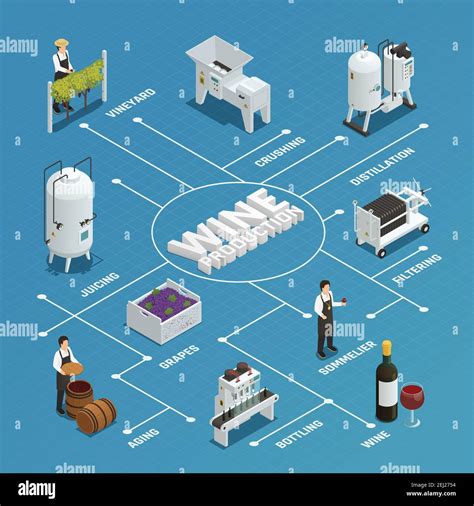 Wine Production Process Isometric Flowchart With Grapes Crushing
