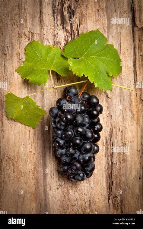 Grenache Grape High Resolution Stock Photography And Images Alamy