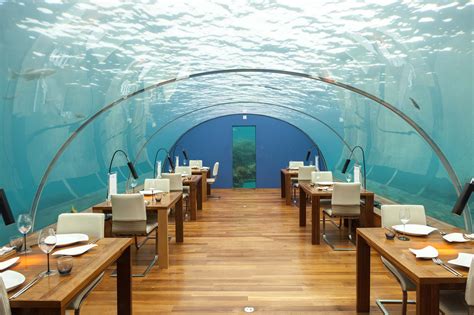 Go Under In The Maldives Mesmerizing Underwater Experiences You Need