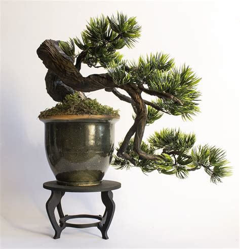 The Stunning Beauty Of The Cascade Bonsai Style New