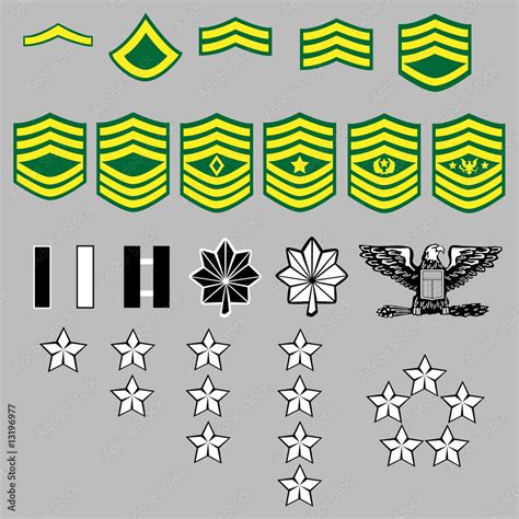 Us Army Rank Insignia For Officers And Enlisted In Vector Stock