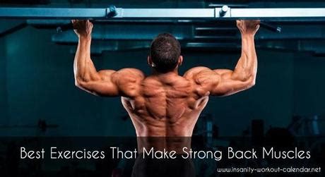 The intrinsic (deep) back muscles, which are also called true back muscles. Best Exercises That Make Strong Back Muscles - Paperblog