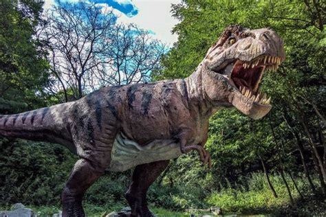Velociraptor wallpapers ·① wallpapertag