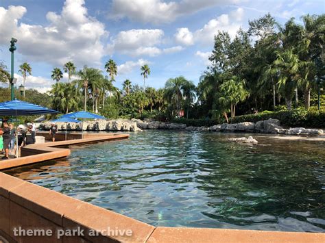 Dolphin Cove At Seaworld Orlando Theme Park Archive