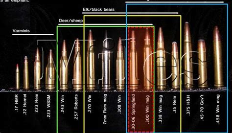 Nu2guns February 2016