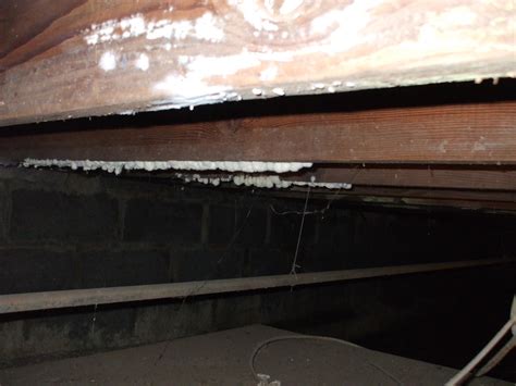 Pro Lab Mold Test Kit Reviews - Professional Mold Testing Kit