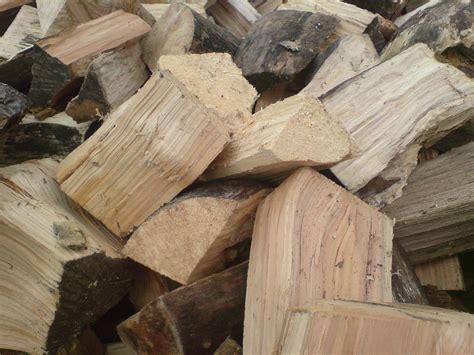 Although ash will burn when green, it burns better when seasoned. Rob Walmsley - Professional Tree Surgery
