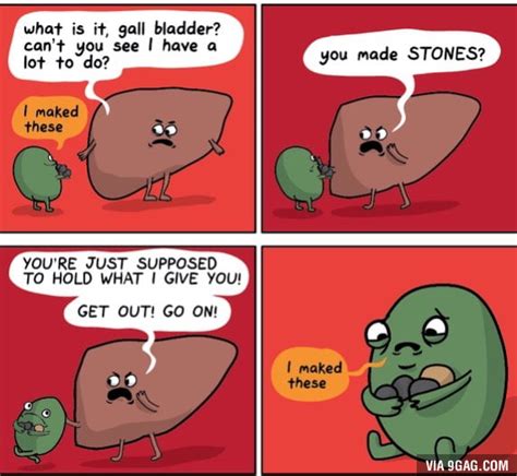 There are 213 kidney stone humor for sale on etsy, and they cost $17.02 on average. Kidney Stones - 9GAG