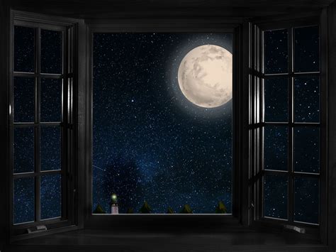 Cheap Price Fox Roll Night Moon Window Vinyl Photos Backdrop Foxbackdrop