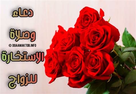 كيف أصلي صلاة الاستخارة ومتى. دعاء صلاة الاستخارة للزواج كيفية صلاة الاستخارة للزواج ووقتها