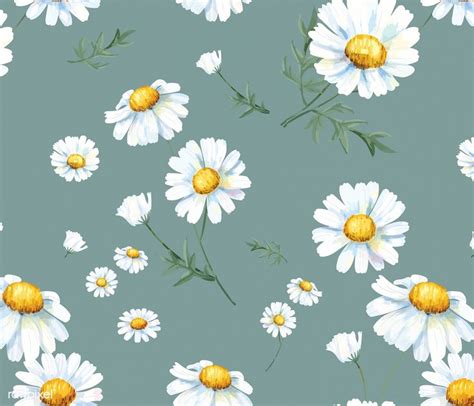 Hand Drawn White Common Daisy Pattern Free Image By Rawpixel Com