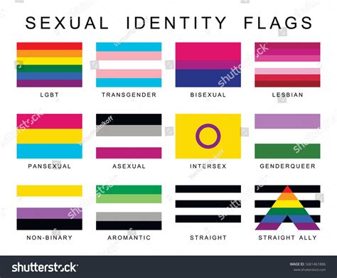 Sexual Identity Pride Flags Set Lgbt Symbols Royalty Free Stock Vector 1681461886