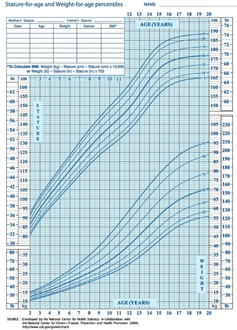 Average Weight Of 12 Year Old Weight Of