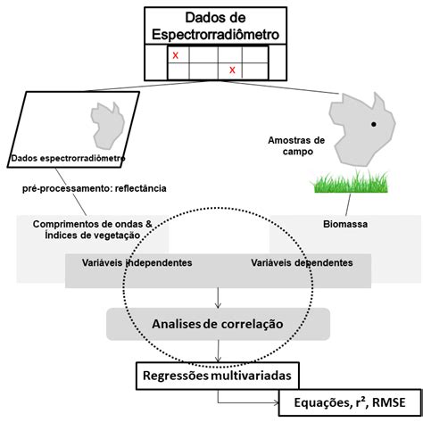 Fluxograma Metodológico Download Scientific Diagram