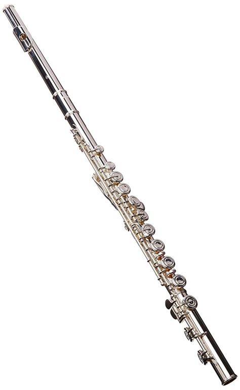 However, a majority of the. Best Flutes: Brands, Beginner's Guide & TOP 6 Flute ...