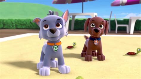 Paw Patrol Funny Moments Best Animation Moments For Kids 84 Youtube