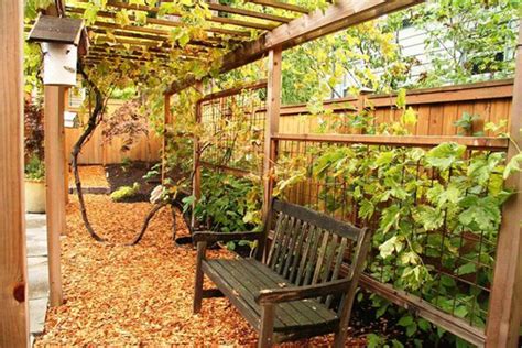 Its construction, planting of the grape vines, pruning, harvesting and utilizing the fruit help each member learn more about our environment and nature's way of growing things. 20 Beautiful And Natural Grape Arbor Ideas | Home Design ...