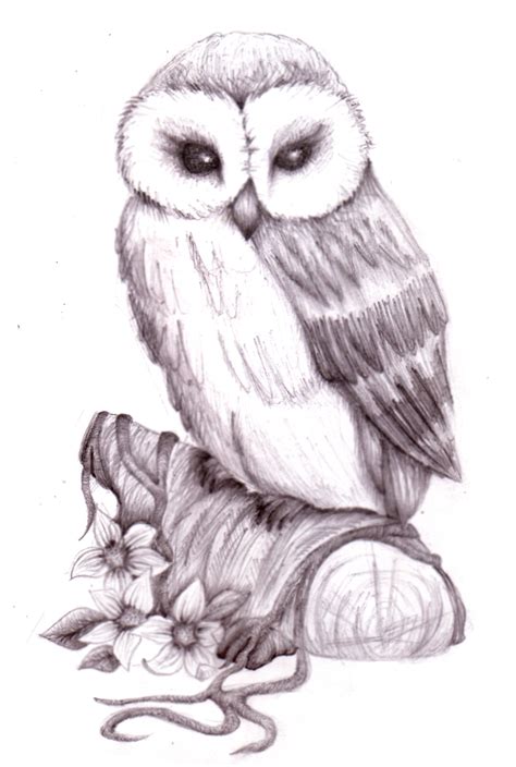 Owl Pencil Sketch By Natzs101 On Deviantart Owls Drawing Pencil