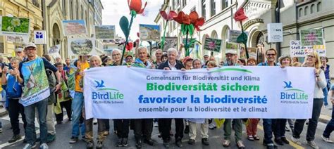 100 Years Of Bird And Habitat Conservation In Switzerland Birdlife