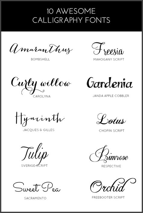 10 Awesome Calligraphy Fonts Pinkpot
