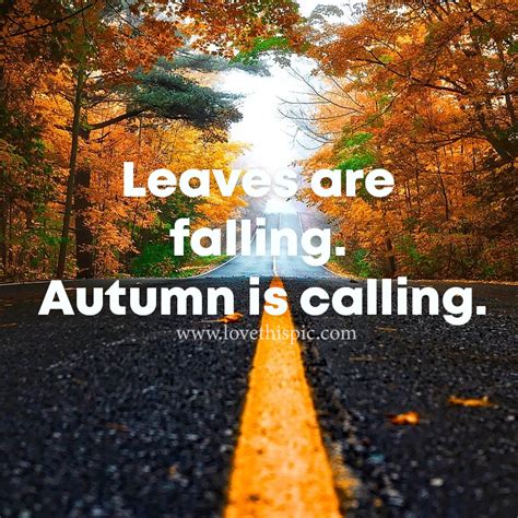 Leaves Are Falling Autumn Is Calling Pictures Photos And Images For