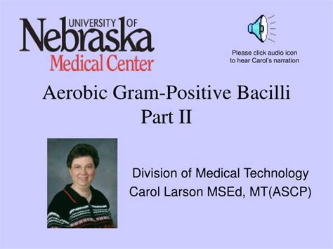 Ppt Aerobic Gram Positive Bacilli Part Ii Powerpoint Presentation Free Download Id4321179