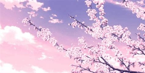 Anime Aesthetic Wallpaper Cherry Blossom Tree Bling Pubg