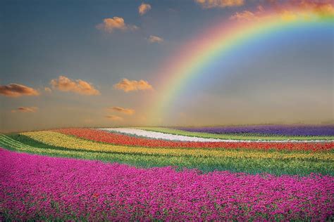 Hd Wallpaper Spring Landscape Flowers Rainbow Sky Clouds