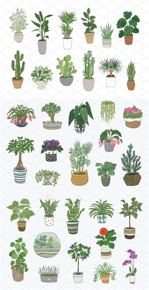 Plant Painting Plant Drawing Plant Art Human Painting Painting