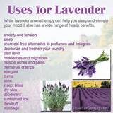 Pictures of Lavender Oil Uses
