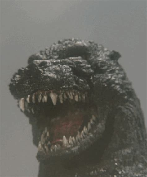 Godzilla, it makes sense that 2021's godzilla vs. Pin by s 51punky on Pets | Godzilla, Original godzilla, Movie monsters