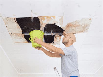 If your water bill has been way above the norm for several months, and you can't recall any a leaky pipe in your wall is the perfect breeding ground for mold and mildew because they thrive in dark, moist places. How Roof Sealant Application is Used to Stop Leaks on an ...