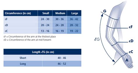 Find your stocking foot size using this chart. Sigvaris Size Charts - Compression Stockings