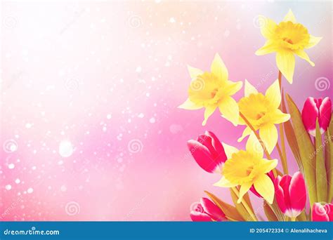 Spring Flowers Tulips And Daffodils Stock Photo Image Of Nature