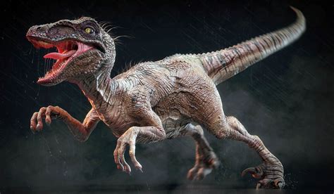 The Largest Raptors Dromaeosaurs Top 10