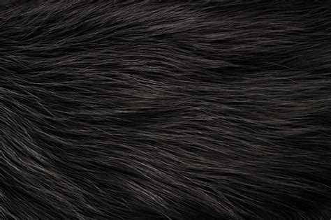 Fur Texture Stock Photo Download Image Now Istock